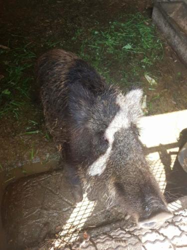 received_10215297456565328